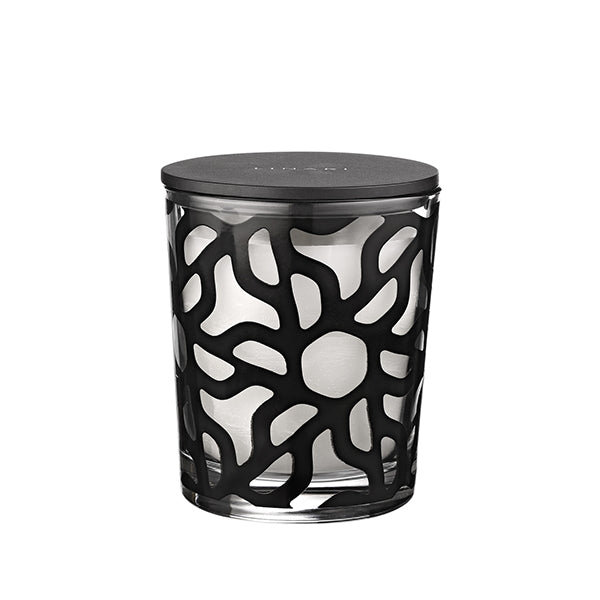 Ebano Scented Candle - Linari product shot
